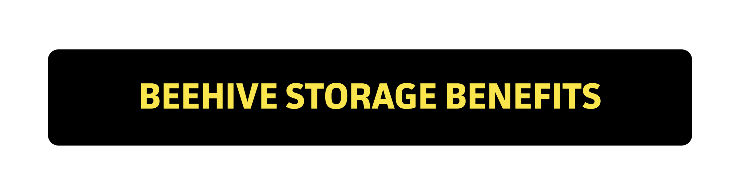 Advantages of choosing Beehive Storage